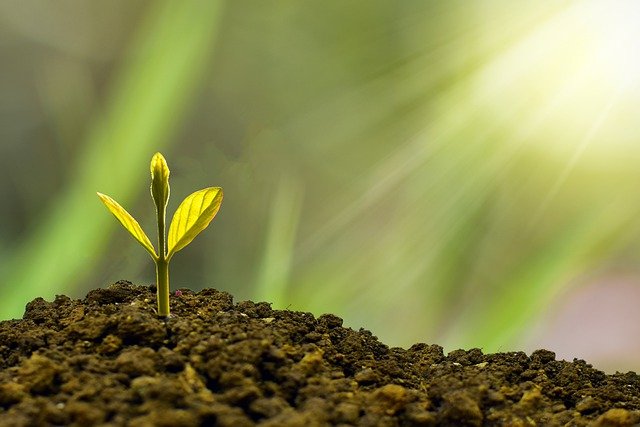 investment-g7ca0a2d50_640.jpg